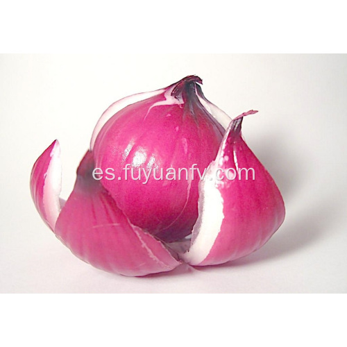 Calidad estándar de exportación de cebolla roja fresca